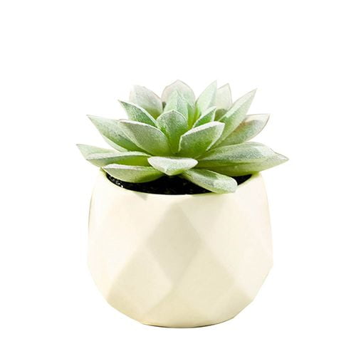 Artificial Mini Succulents Plants Fake Succulent Bonsai Plastic Flower Decor
